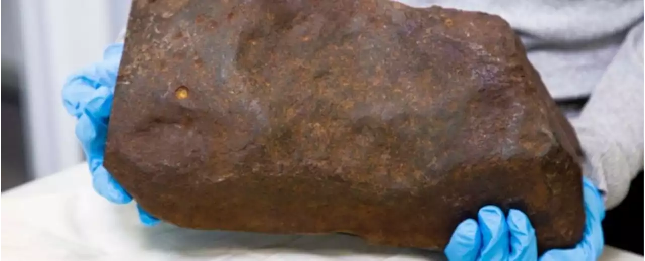 Man Keeps Rock For Years, Hoping It's Gold. It Turns Out to Be Far More Valuable