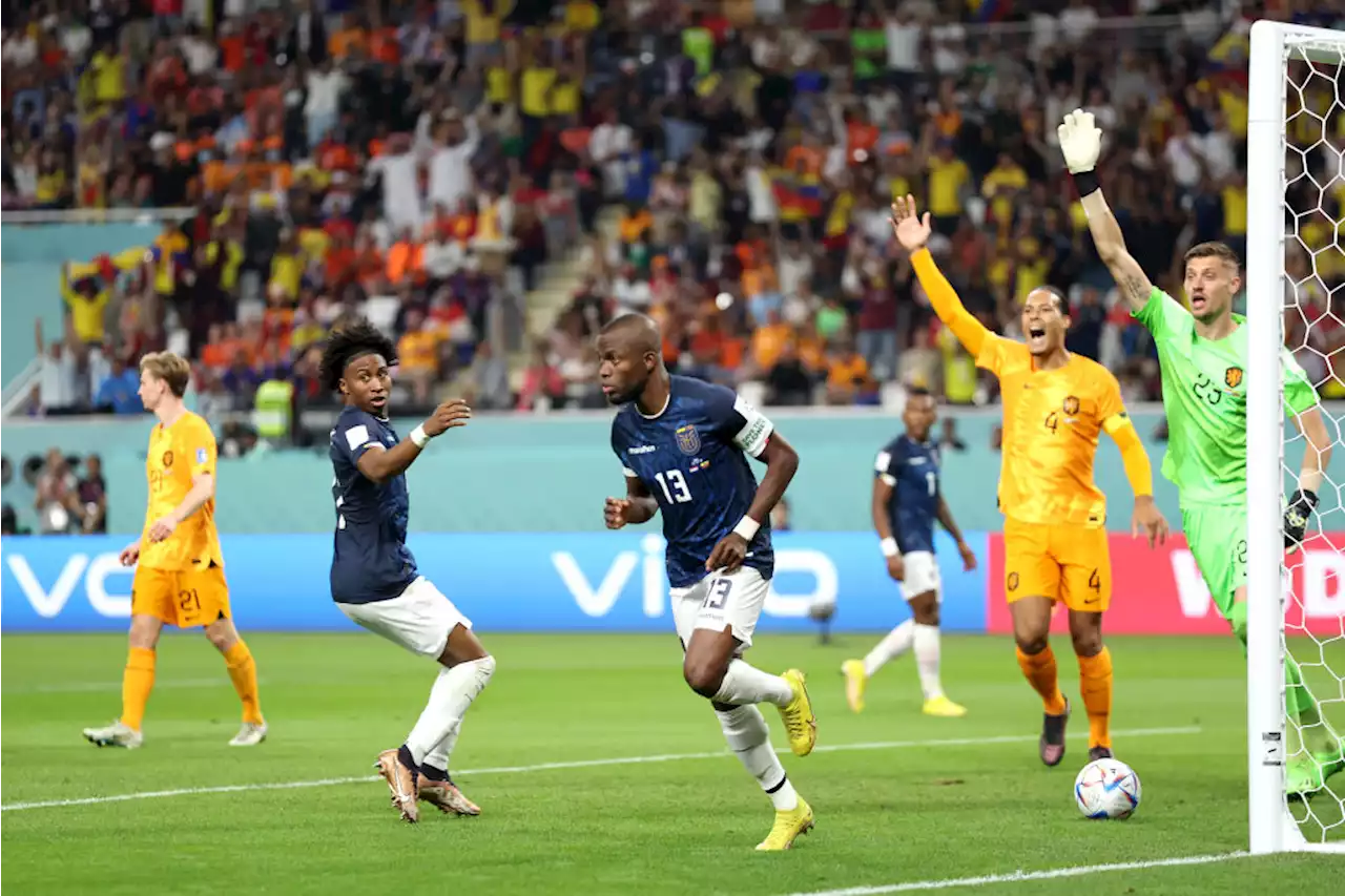 Dutch & Ecuador Drop Points, Qatar Join Bafana Unwanted Club | Soccer Laduma