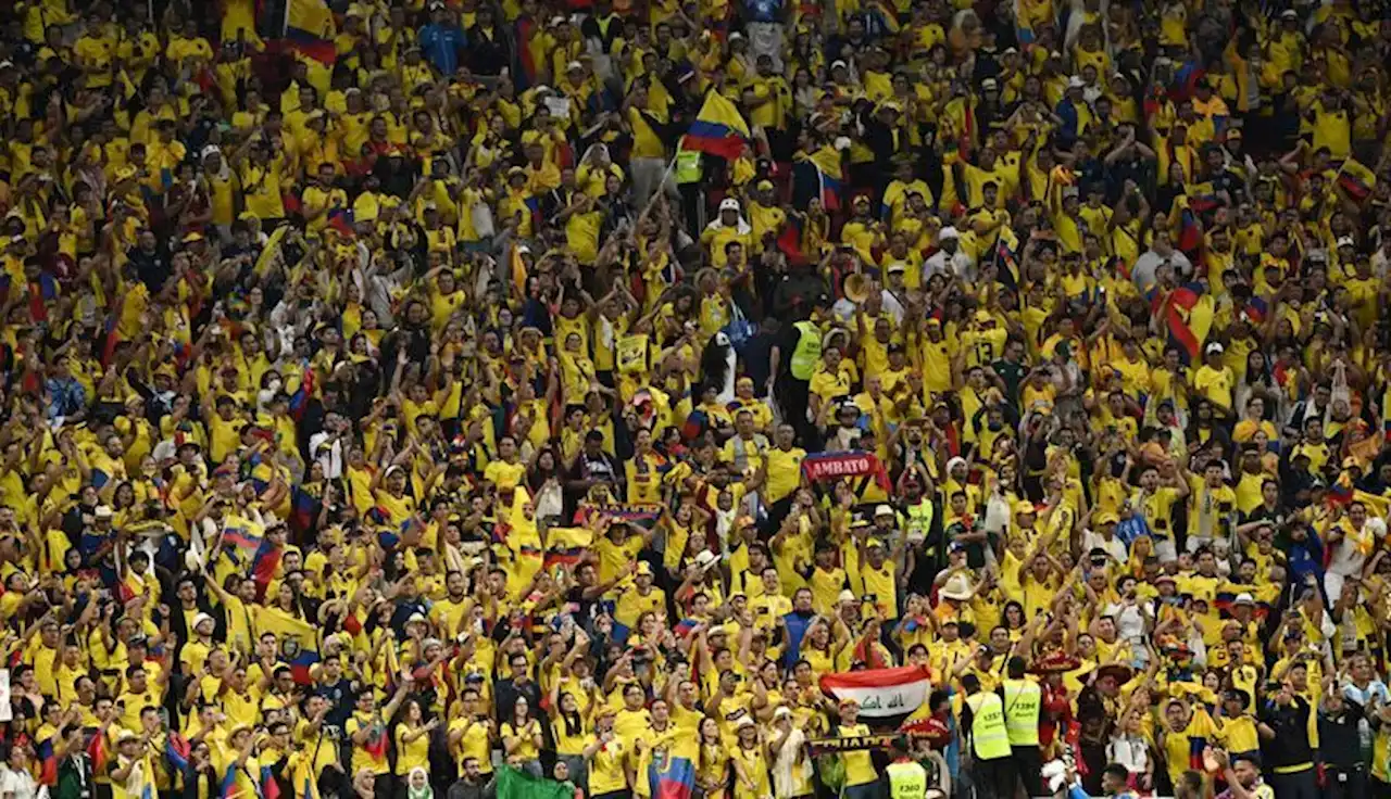 Soccer-Ecuador federation asks fans to avoid offensive chants