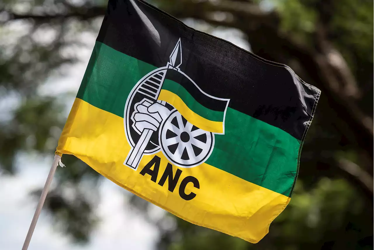 ANC elective conference: KZN nominee intends to restore party to its former glory | The Citizen