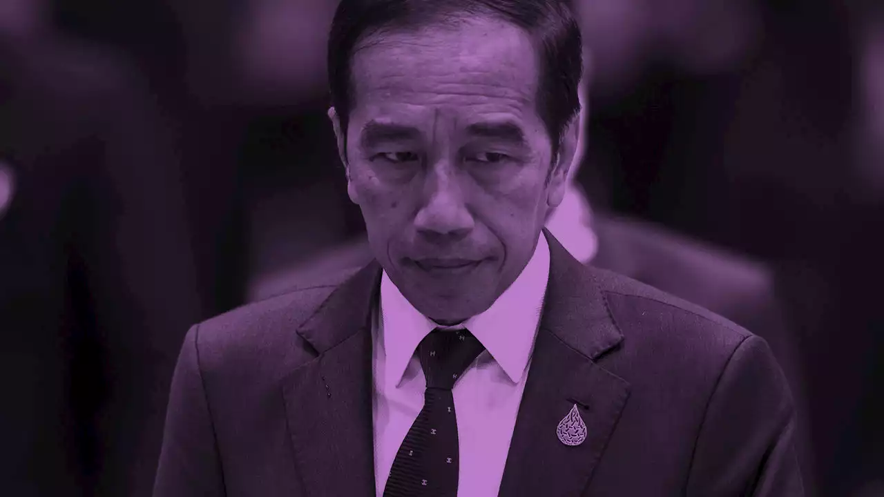 Indonesia’s president, Joko Widodo, tells us why he’s swapping coal for batteries