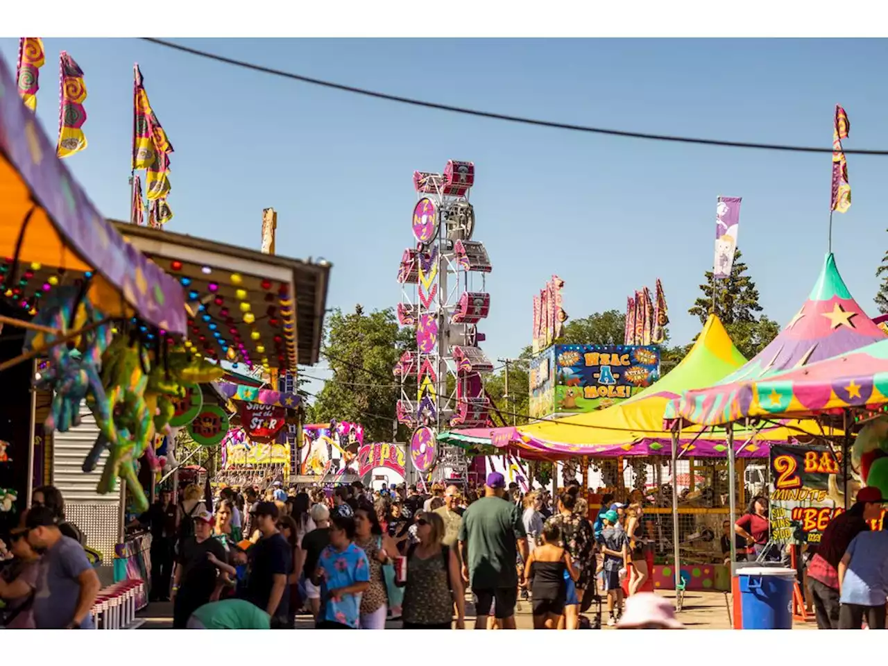 Suspect arrested in Saskatoon Exhibition bear spray incident