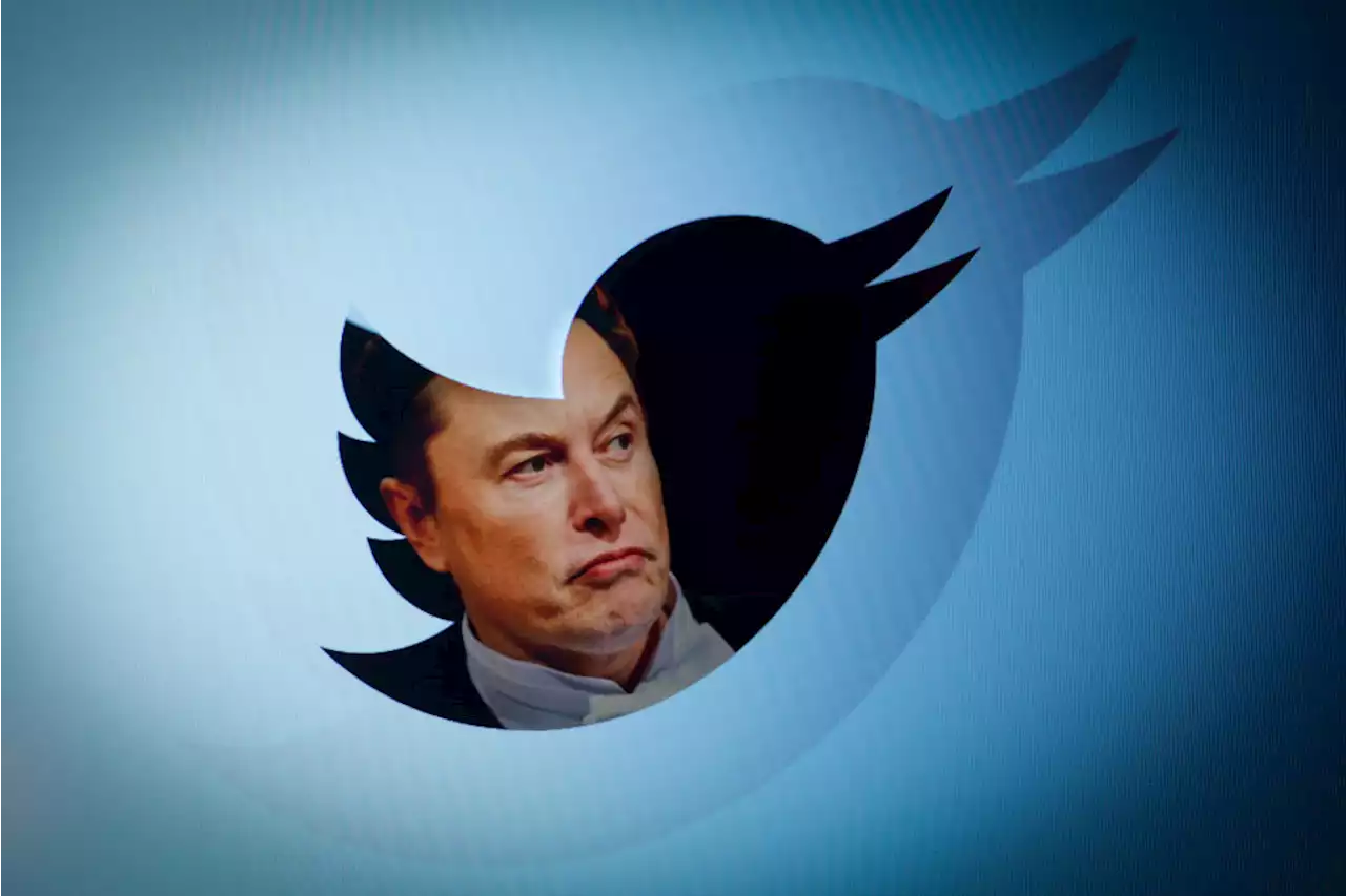 Elon Musk Promises 'Amnesty' for Suspended Twitter Accounts