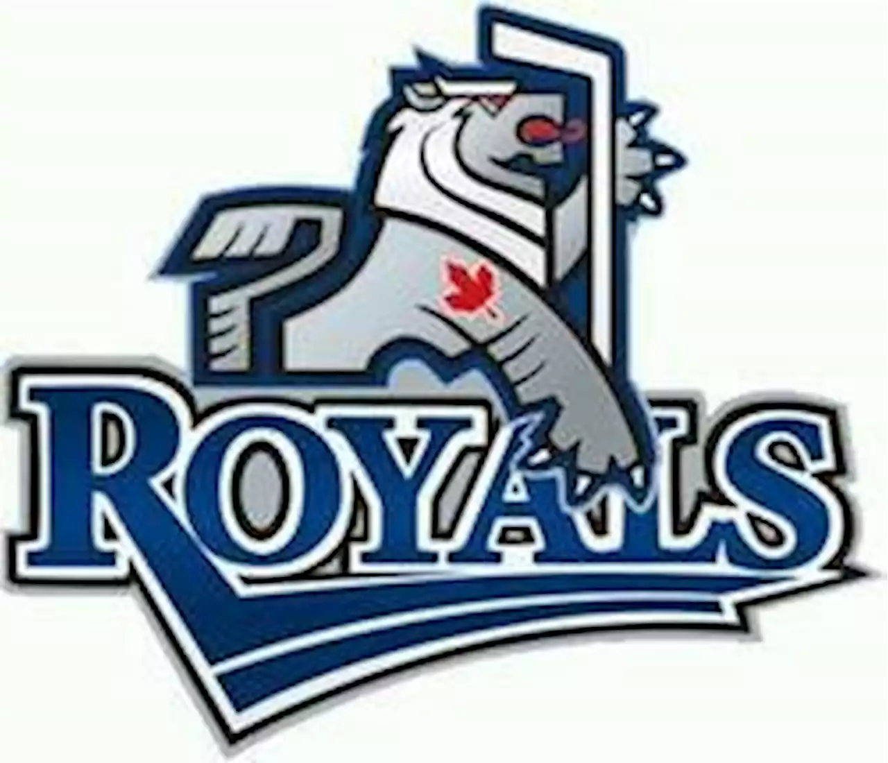 Victoria Royals trade for forward, draft picks in deal with Wheat Kings