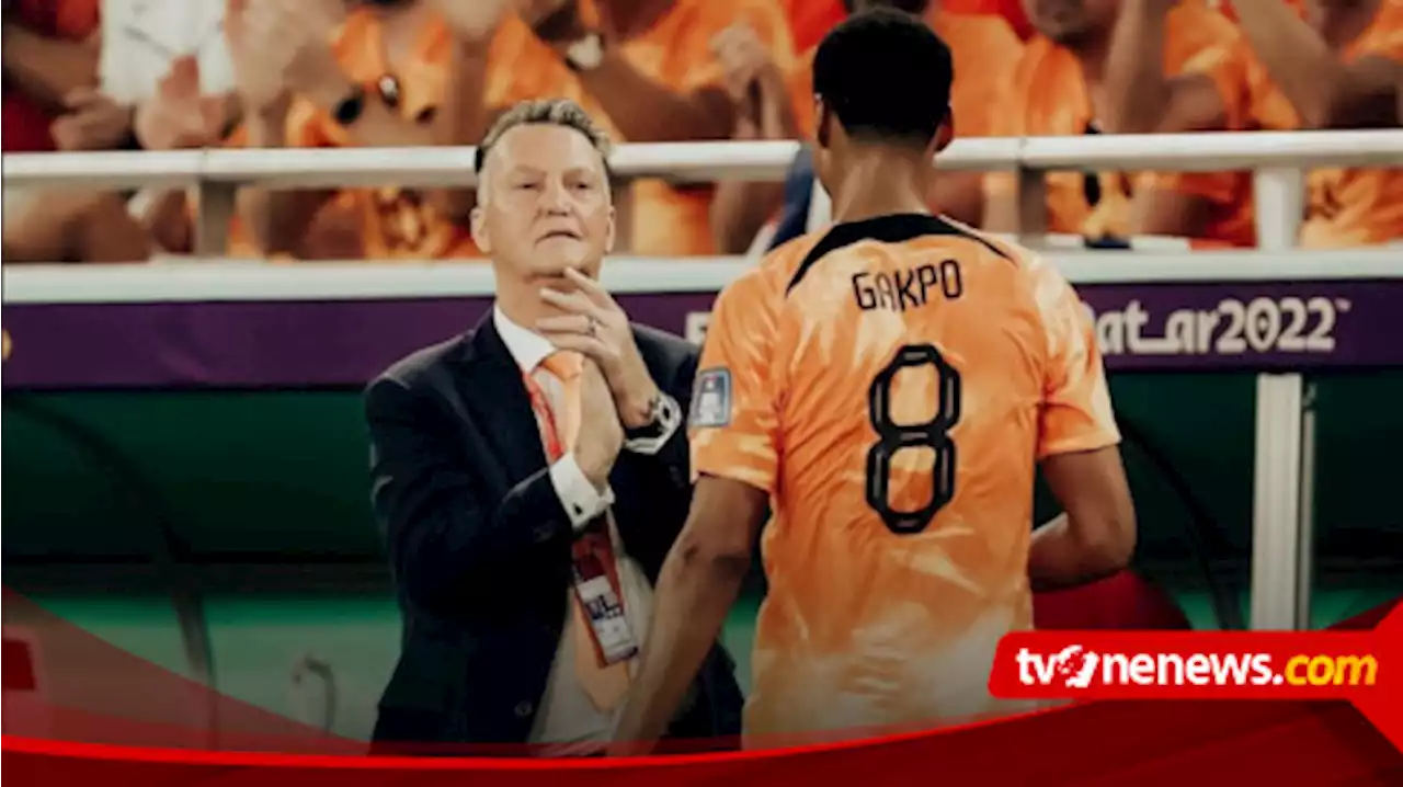 Profil Cody Gakpo, Bintang Muda PSV Eindhoven Andalan Tim Nasional Belanda di Piala Dunia 2022 Qatar