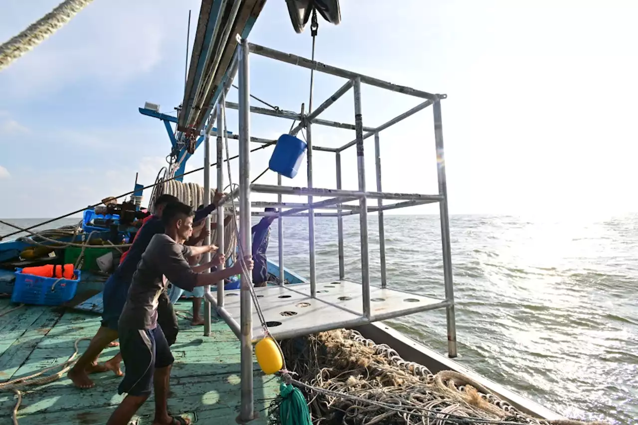 Labuh lapan unjam hibrid, tingkat hidupan laut Sabak Bernam