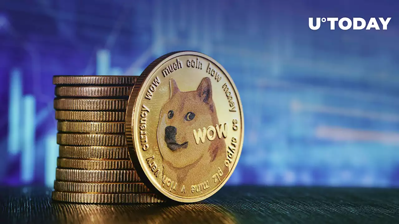 Dogecoin Beats Cardano in Market Capitalization, Earns 8th Place