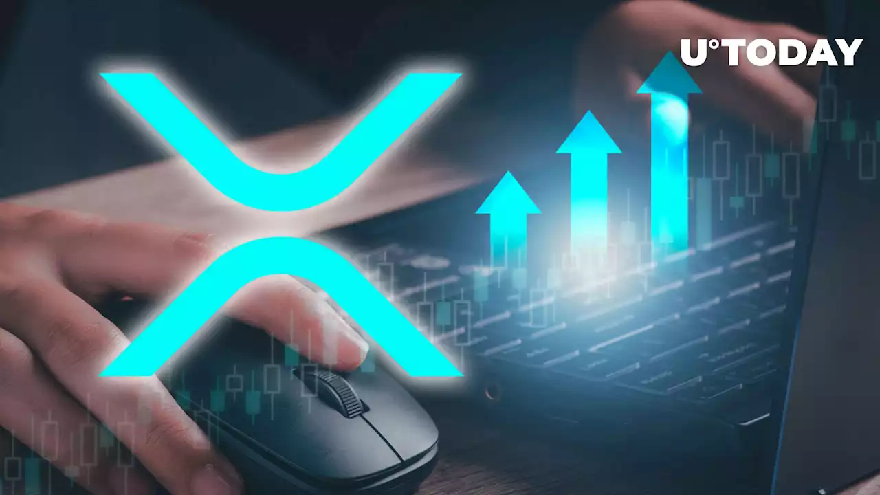 XRP's 11% Rally Makes It Most Profitable Crypto of Last 24 Hours, Here's What's Next