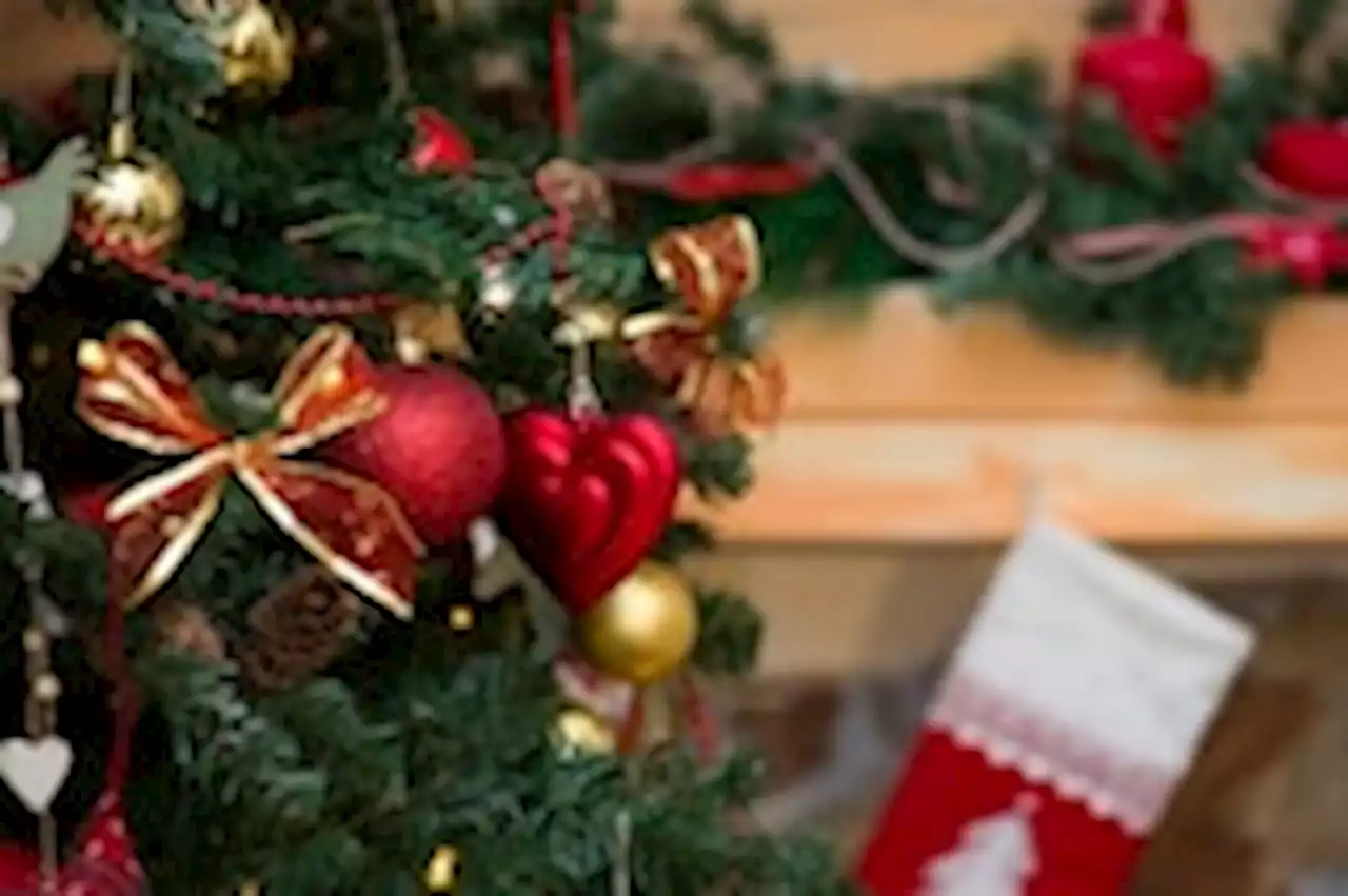 Are real or artificial Christmas trees better for the environment?