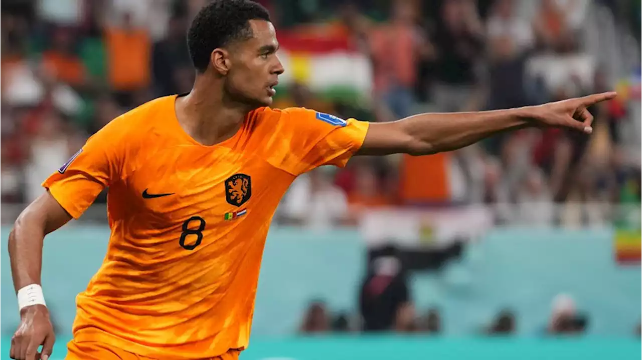 WM 2022: Der neue van Persie – wie Cody Gakpo die Niederlande verzaubert