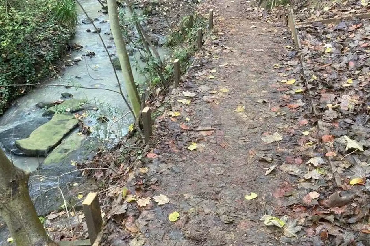 Thieves cut down and steal entire new fence from Yorkshire woods - but the treated timber won't make good firewood