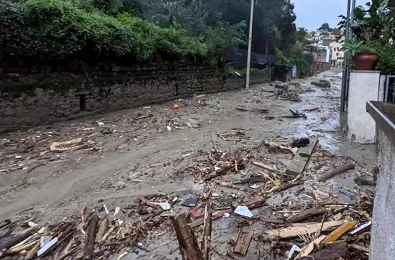 Acht Tote nach schwerem Erdrutsch auf Urlaubsinsel Ischia