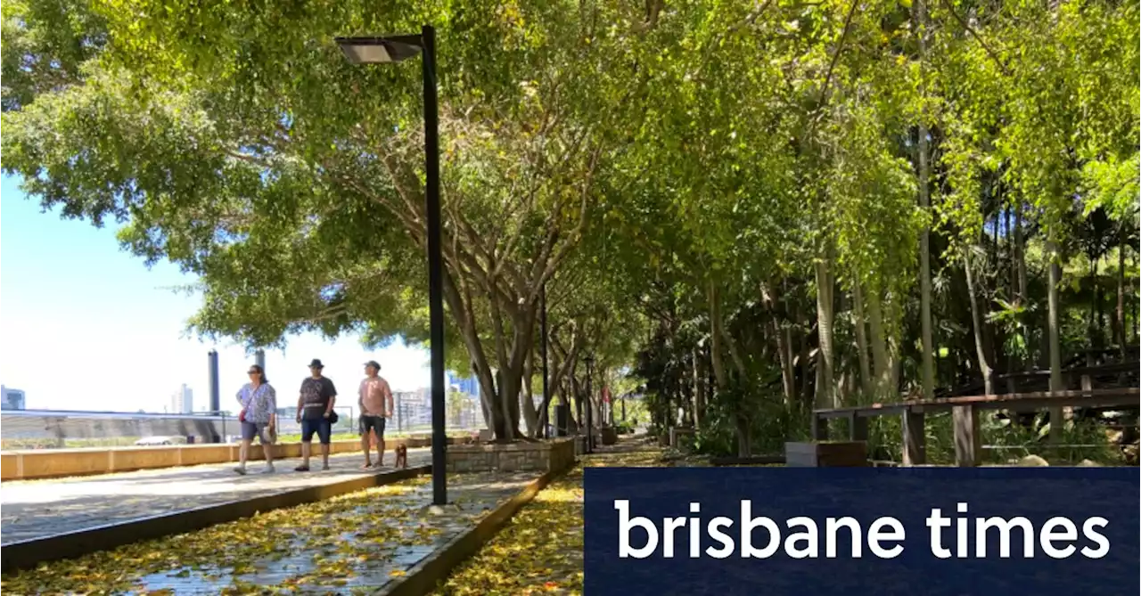 Shake-up for South Bank board and how the future of parkland is decided