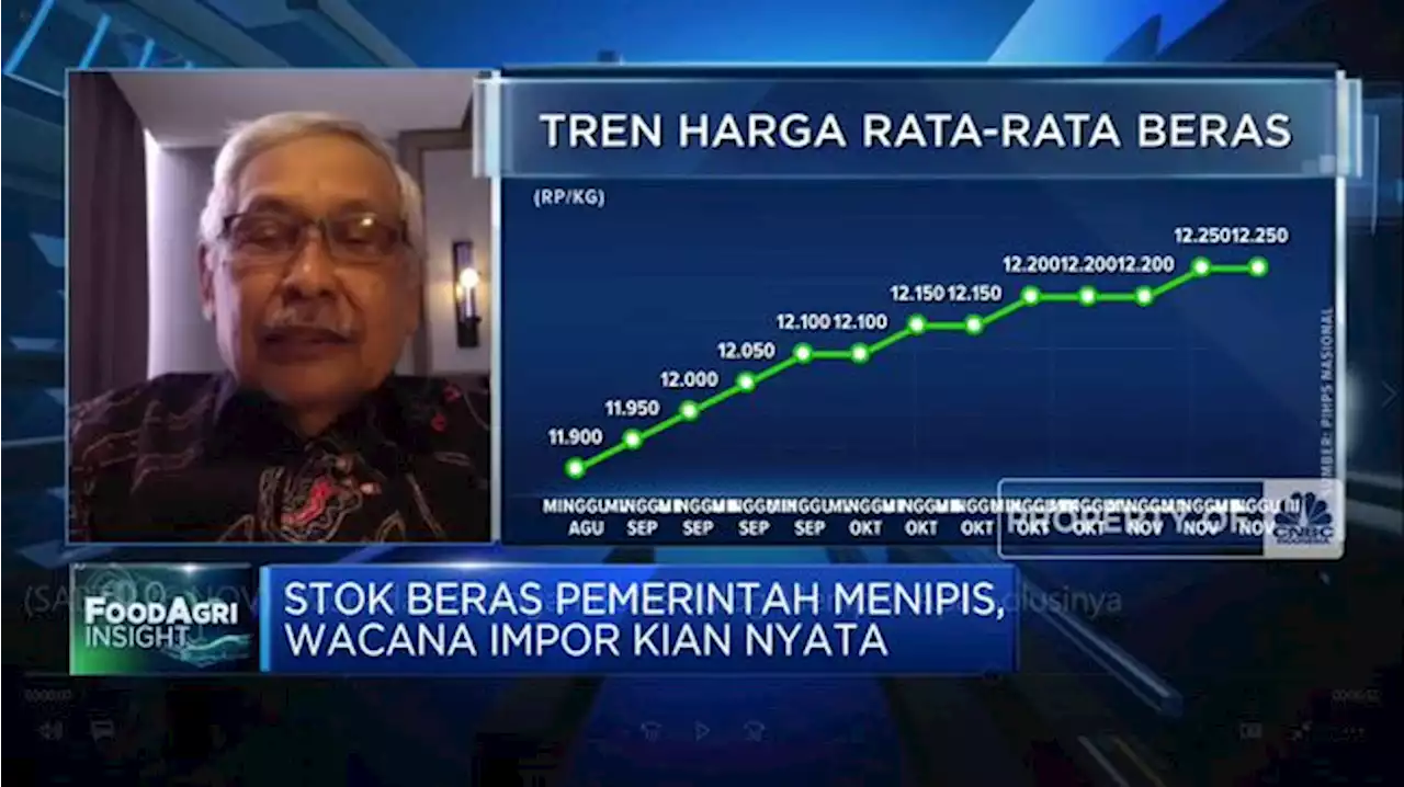 Video: Waspada Cadangan Beras Bulog Menipis! Apa Solusinya?