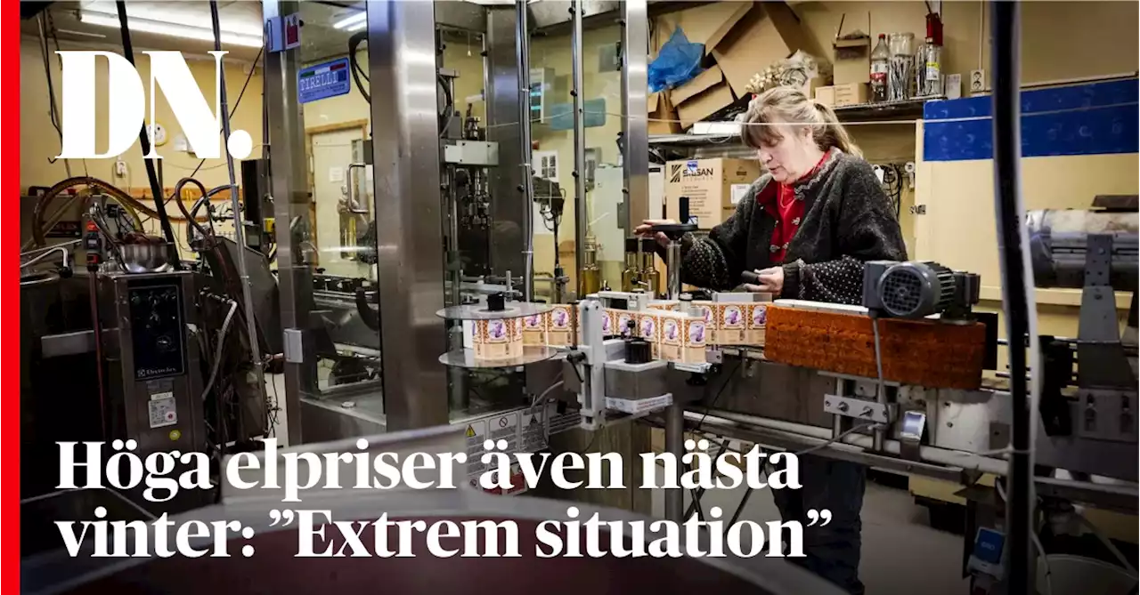 Höga elpriser även nästa vinter: ”Extrem situation”