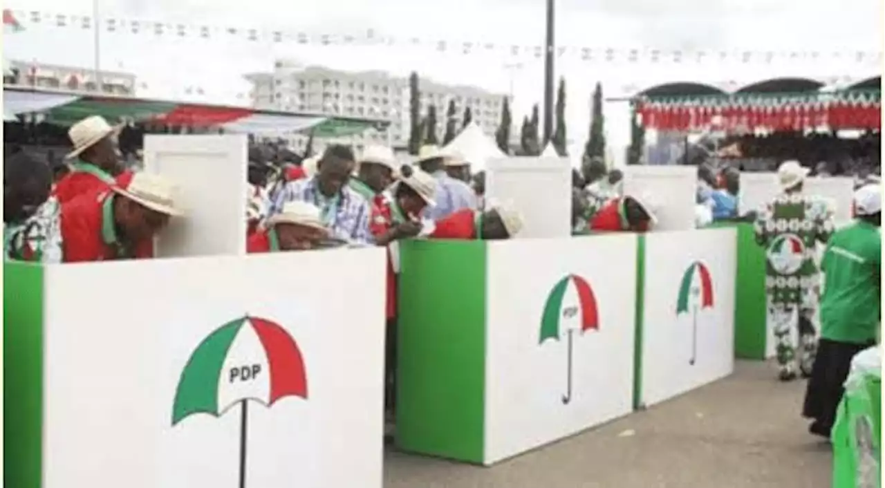 Court sacks Danburam as PDP Kano north senatorial candidate - Daily Trust