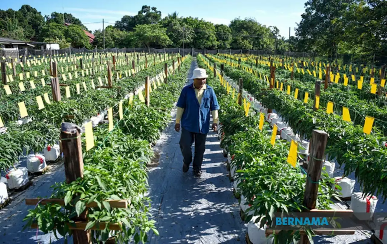 RM808m for agri, industrial and tourism | Daily Express Online - Sabah's Leading News Portal