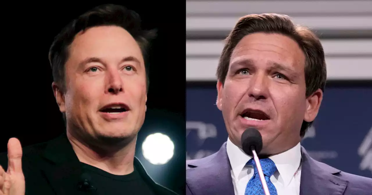 Elon Musk says he will back Trump rival Ron DeSantis in 2024