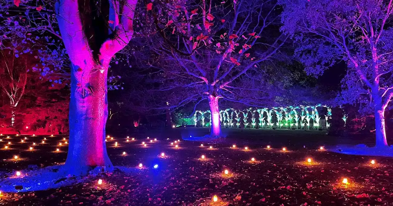 'Most magical' Christmas trail with thousands of sparkling lights