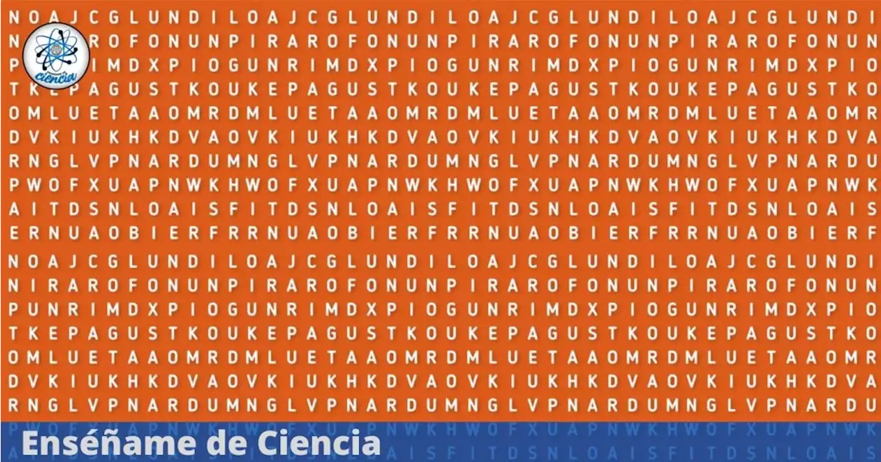 Acertijo visual de la palabra “GEMELO”: El 98% no logra encontrarla en la sopa de letras