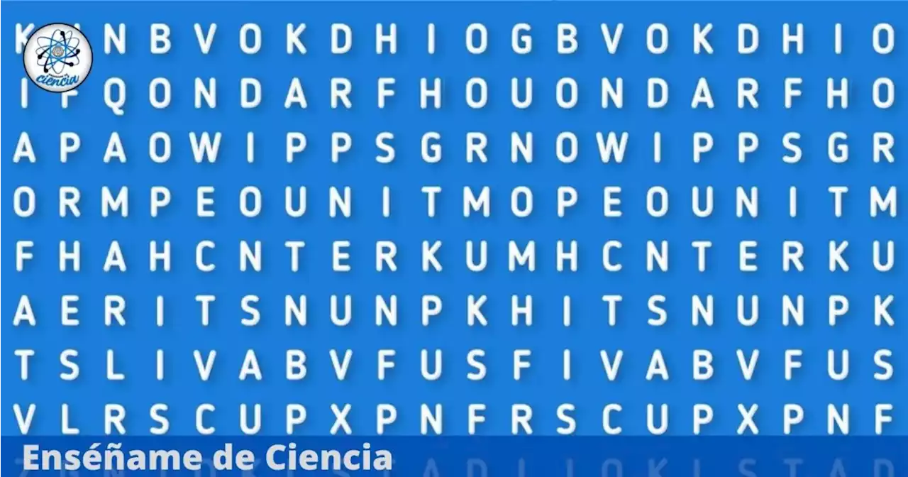 Acertijo visual: El 85% no encuentra la palabra “DESIERTO” en la imagen ¿Podrás lograrlo?