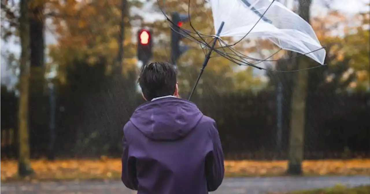 Three counties hit with weather warning for this weekend over 'very strong' winds | JOE.ie