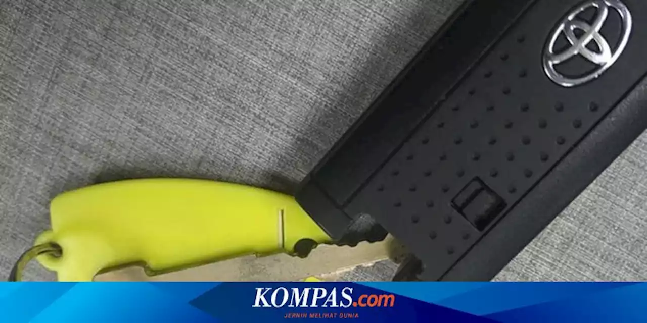 Apa Fungsi Anak Kunci yang Tersembunyi di Dalam Remote Keyless?