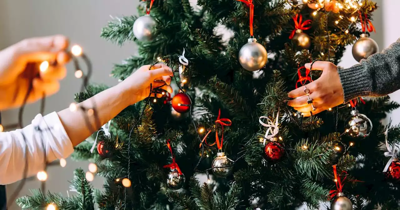 Les sapins de Noël coûteront (aussi) plus cher cette année