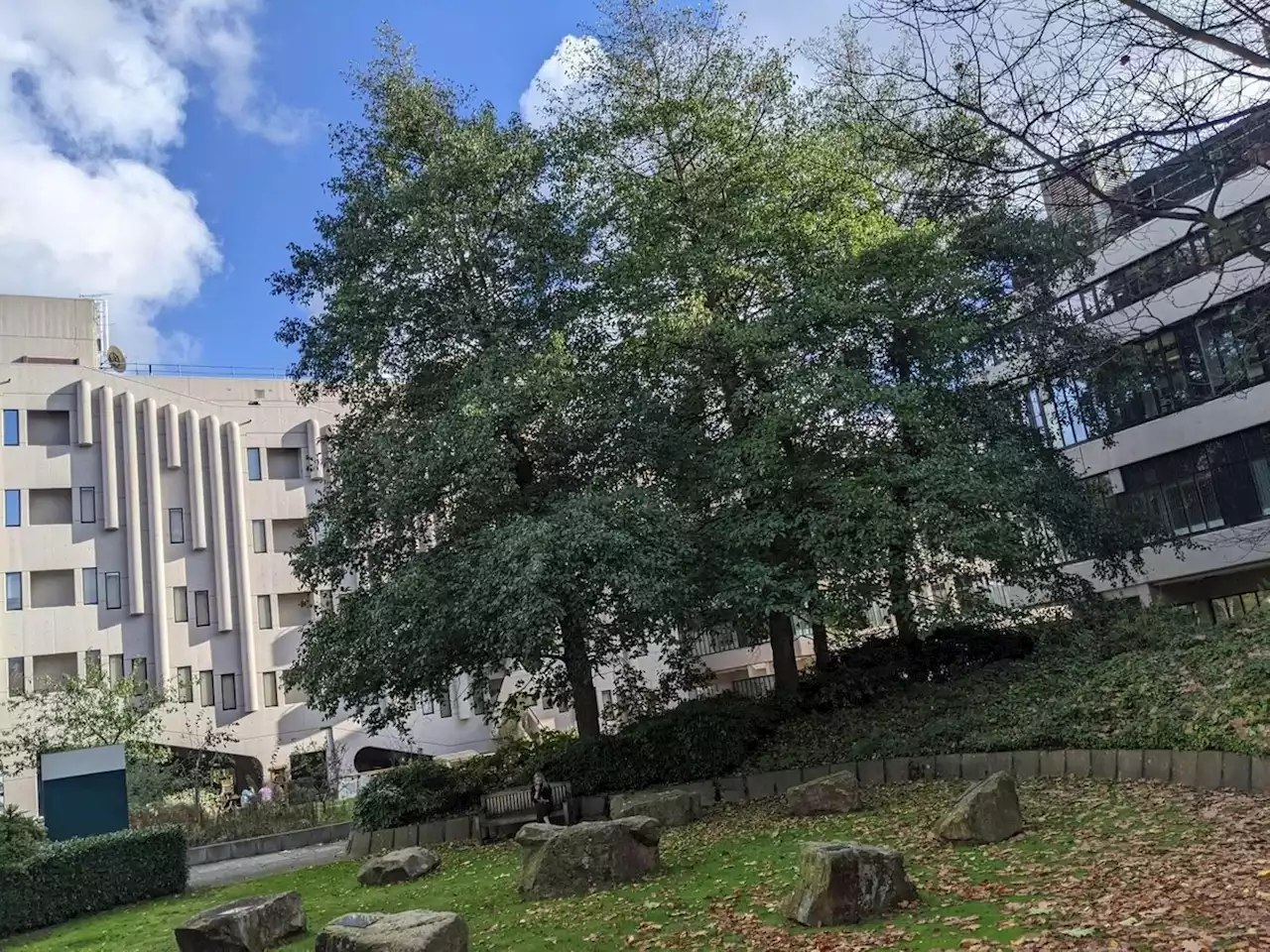 Major plans unveiled to regenerate old buildings and create new neighbourhoods in Leeds