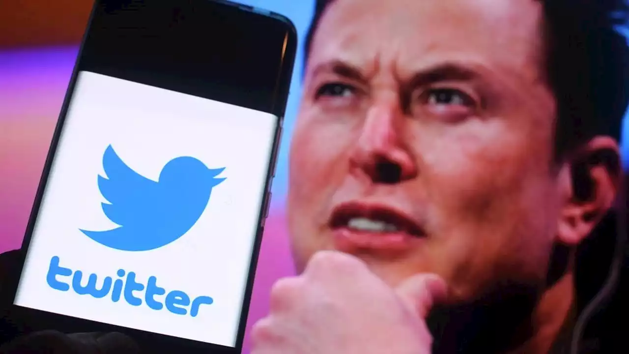 Quand Sam Bankman-Fried voulait aider Elon Musk à racheter Twitter