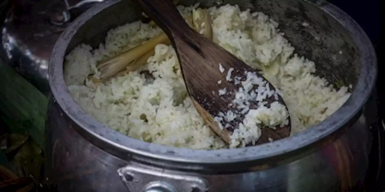 Pemerintah Bakal Bagikan 680.000 Rice Cooker Gratis, Ini Syarat Penerimanya | merdeka.com