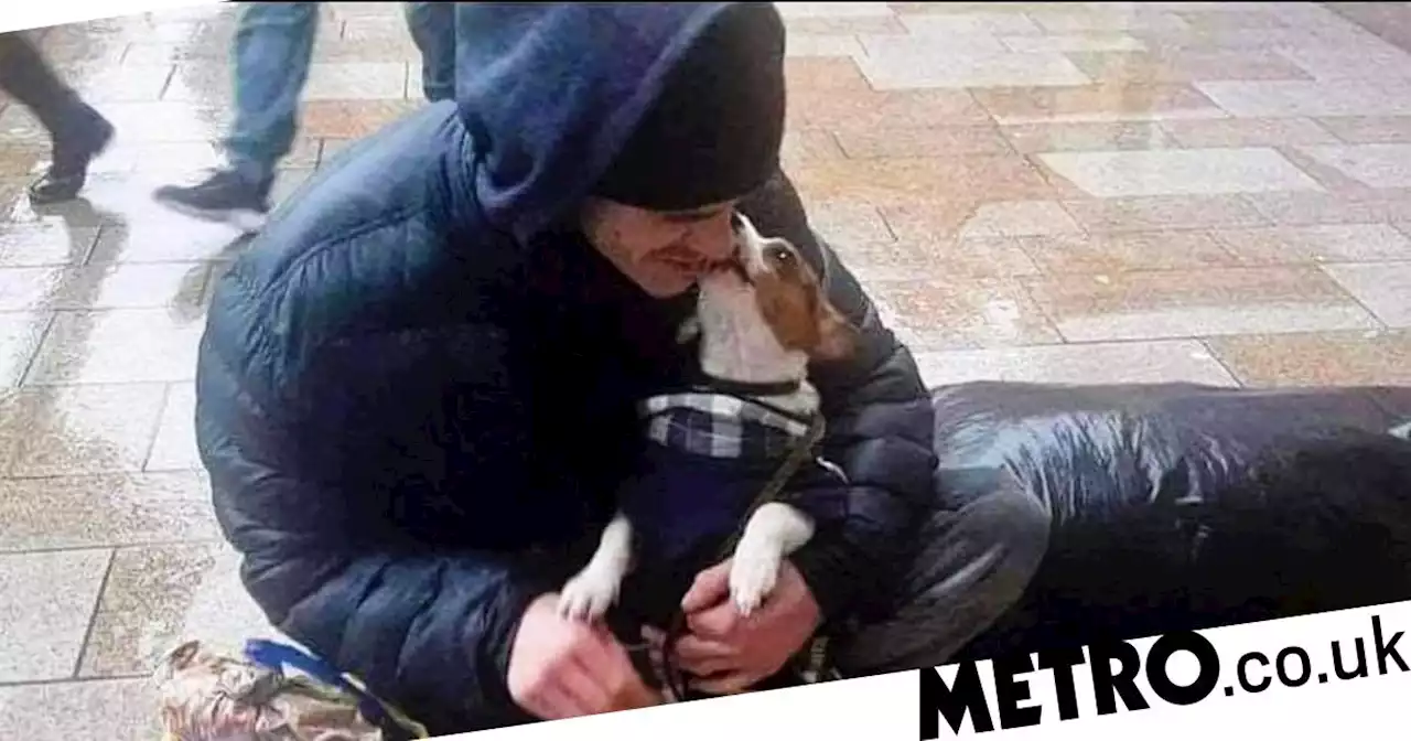 Rough sleeper made final bed for his beloved dog before dying in the night