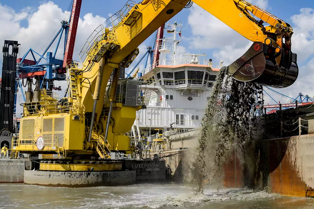 Schlick-Desaster in der Elbe: Hamburg fordert nationalen Hafengipfel