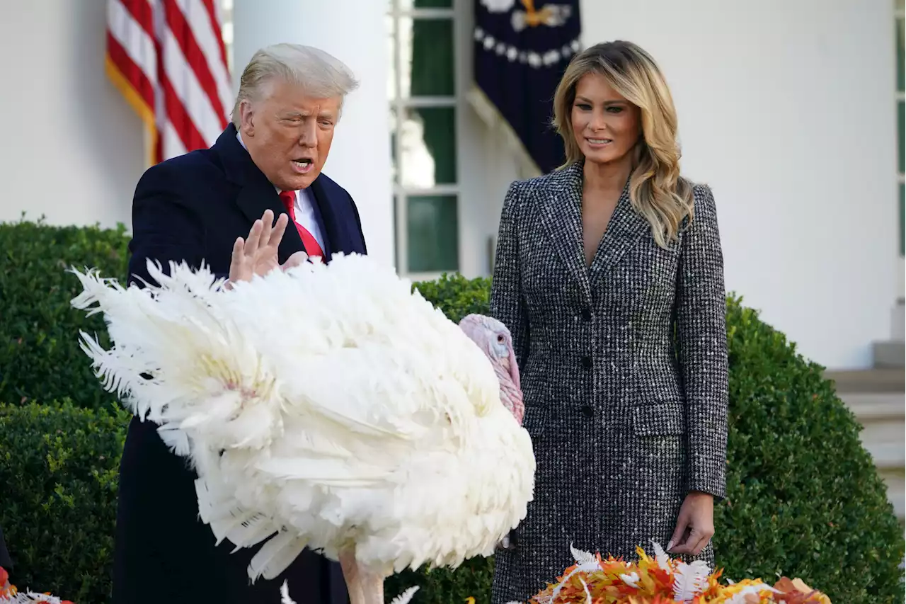 Fact Check: Did Trump's Thanksgiving 'truths' not mention 'Thanksgiving'?