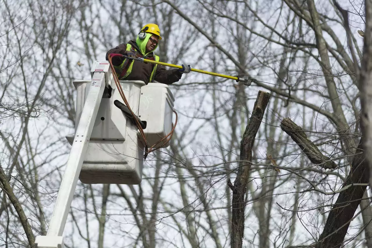 Live N.J. power outage tracker: high winds knock out power to thousands