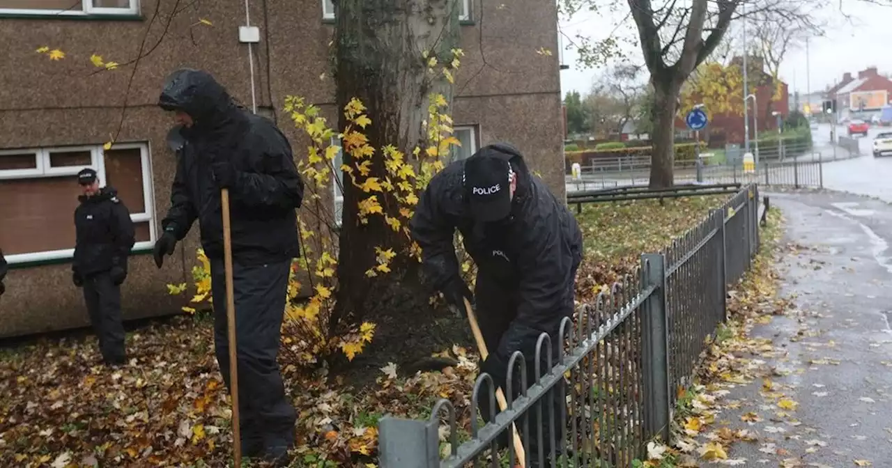 Weapons sweeps and metal detecting arches used as knives taken off streets