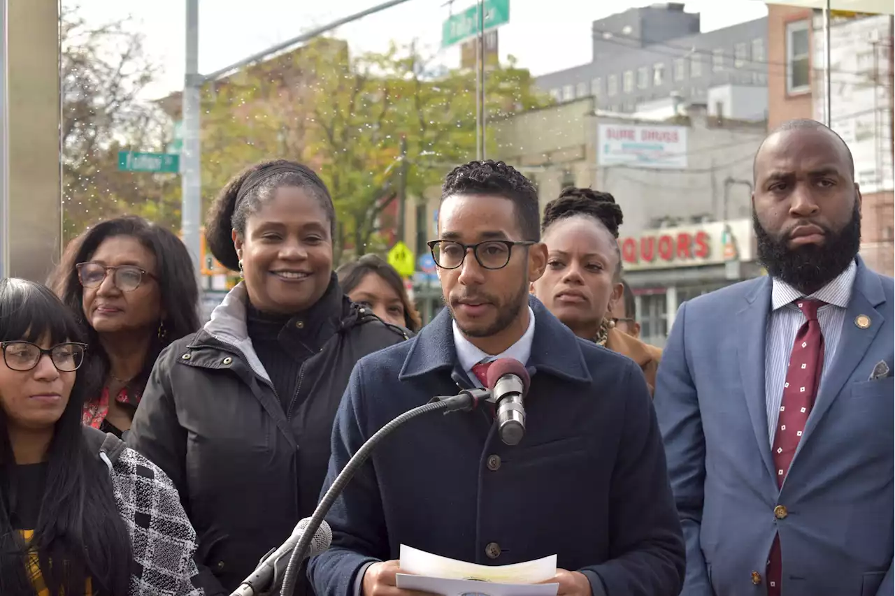 Brooklyn BP Reynoso launches Black and brown maternal health campaign - New York Amsterdam News