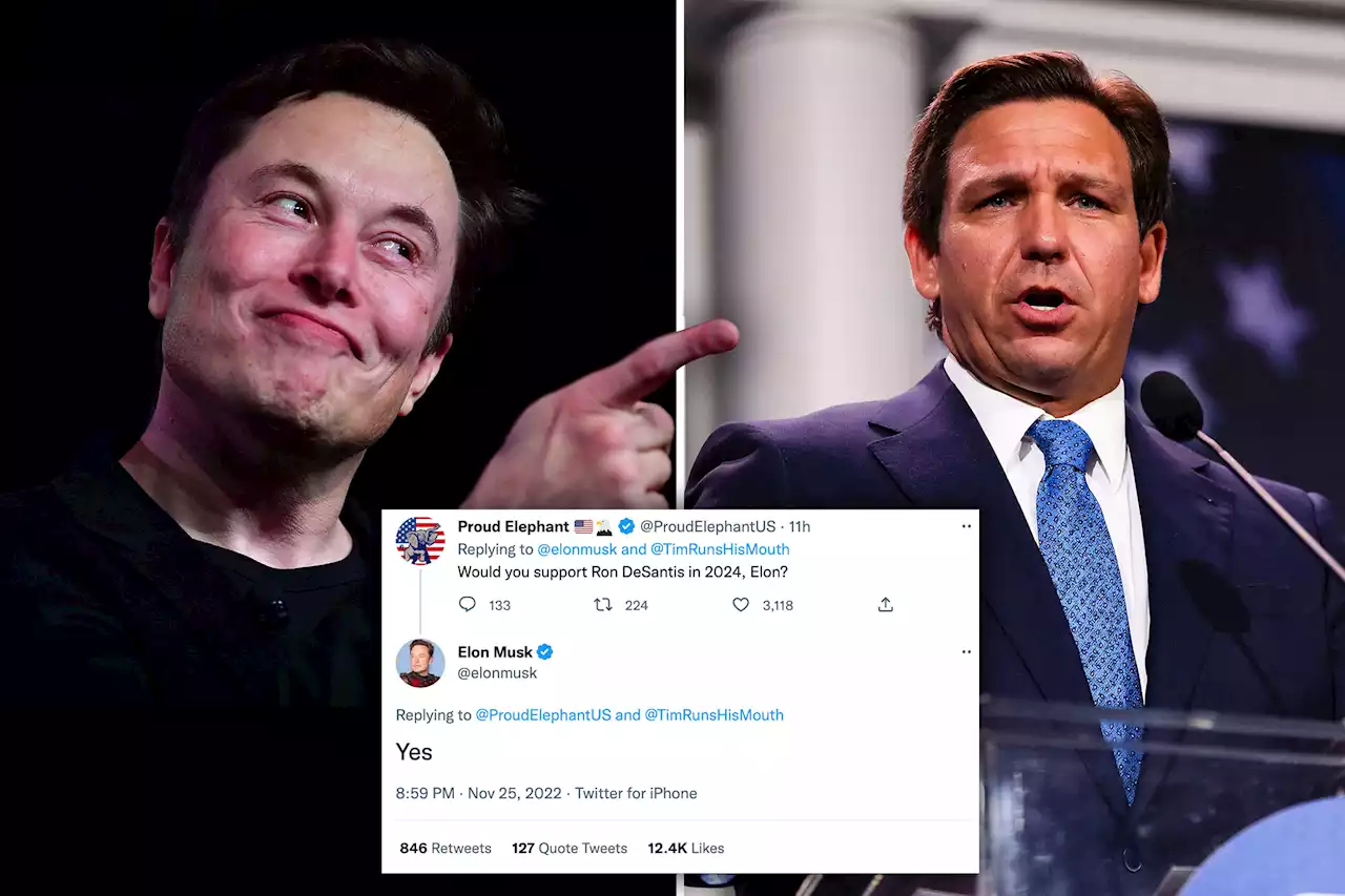 Elon Musk backs Ron DeSantis for 2024 presidential run