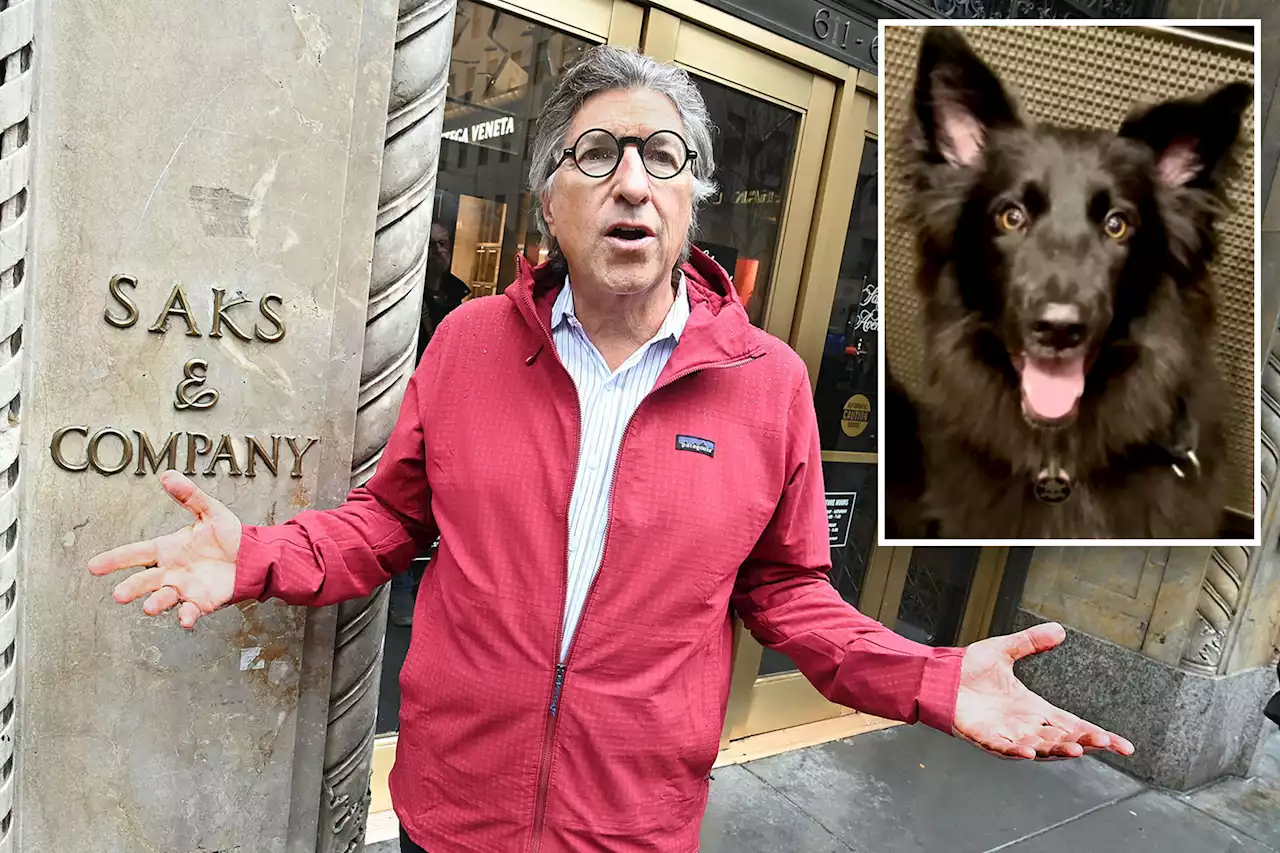 Ruff day for Saks Fifth Avenue shopper bitten by dog