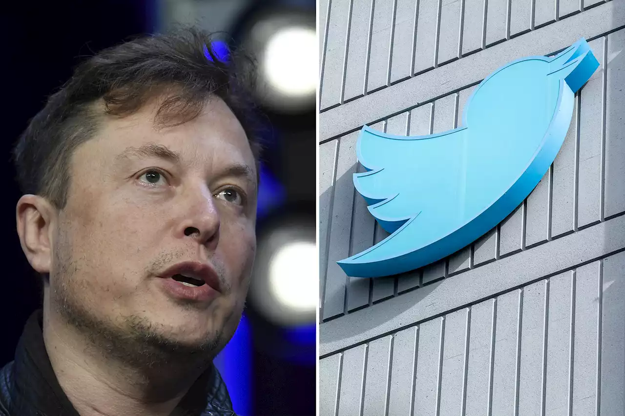 Twitter liberals nervous about Elon Musk in direct messages