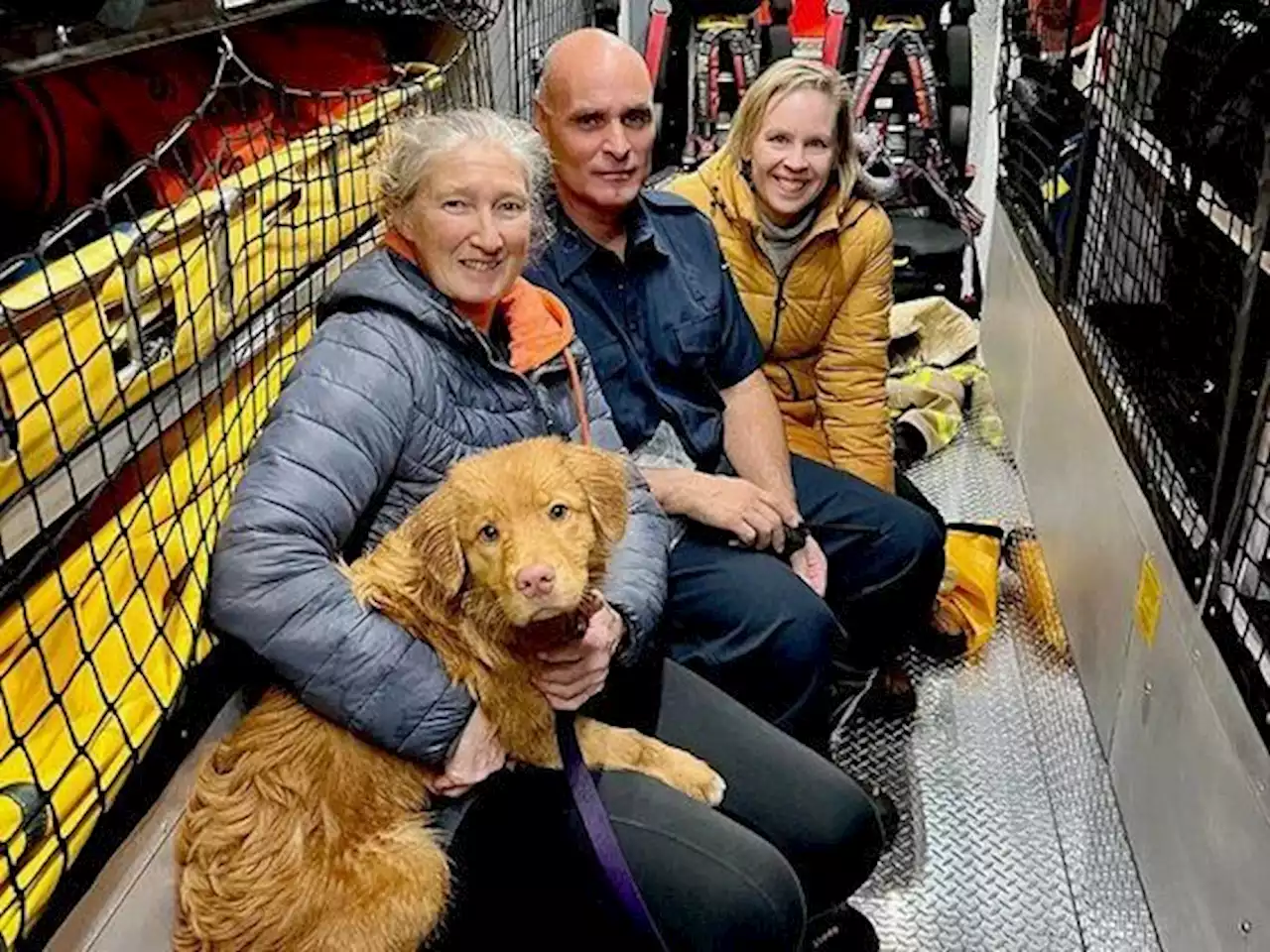 Puppy saved from cold St. Lawrence River by Brockville dive master