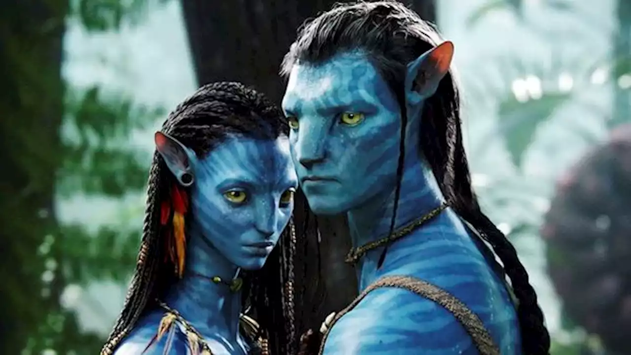 'Avatar 2' bota la casa por la ventana; revelan exagerada cifra para su rodaje - Pulzo