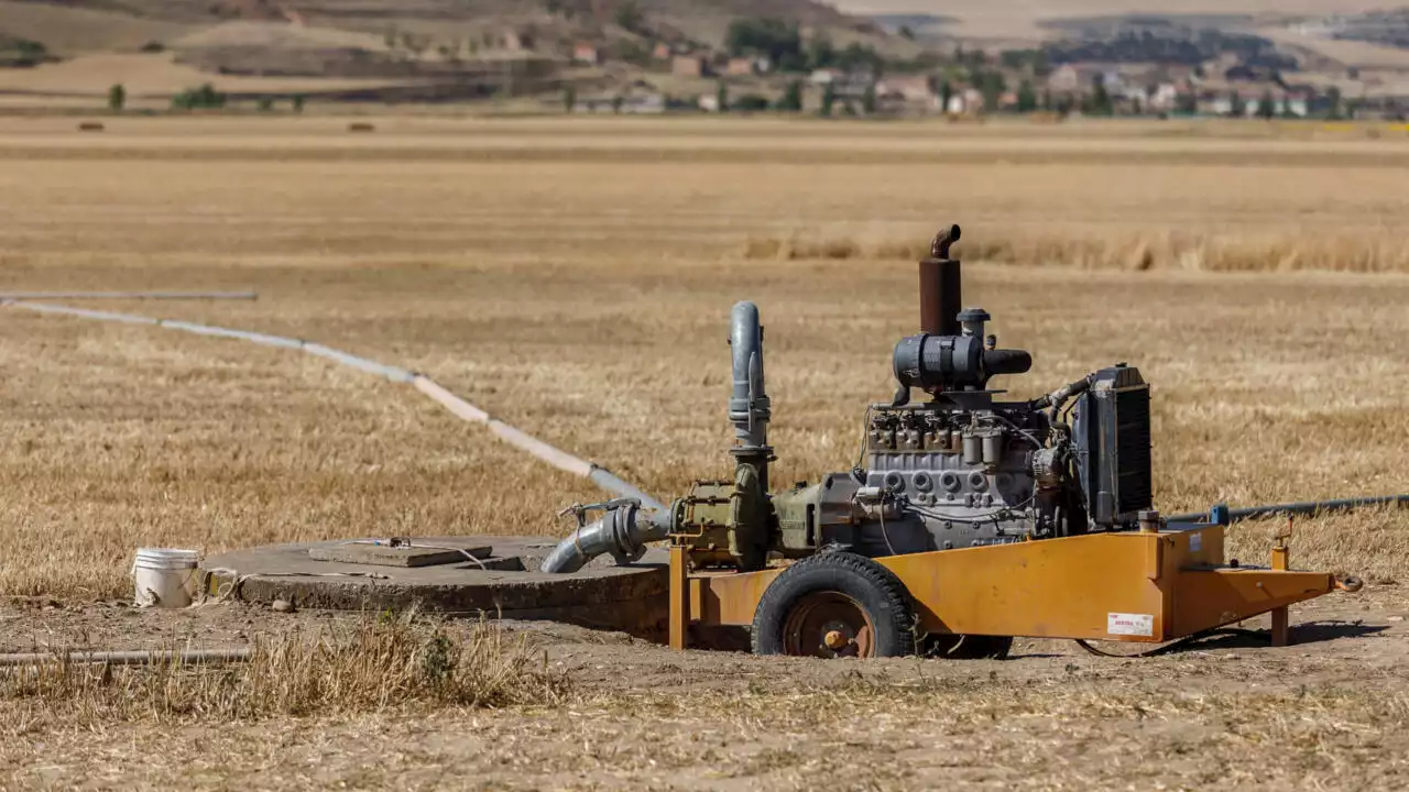 Irrigation en Espagne: les organisations écologistes vent debout