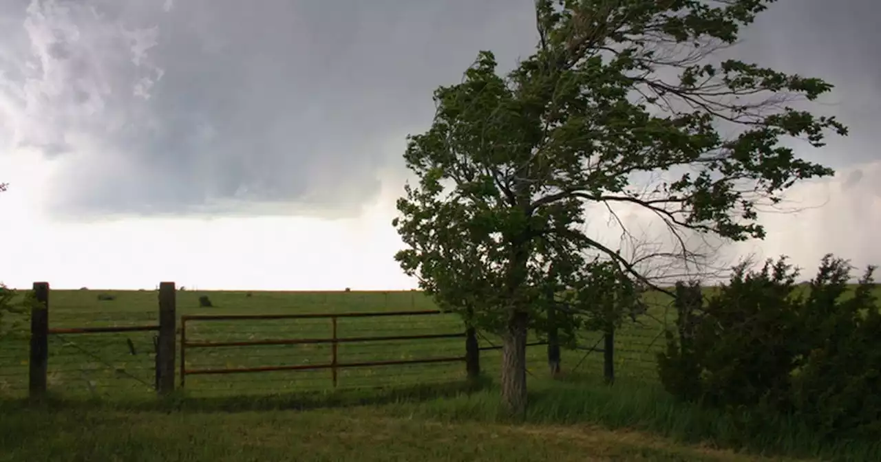 Yellow weather warning as 3 counties set for 100km/h winds and temperature drop