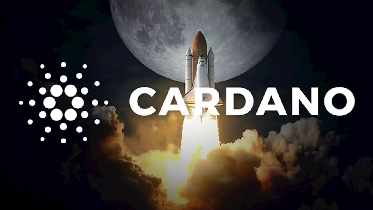 กระเป๋าบนเครือข่าย Cardano เพิ่มขึ้นกว่า 1 แสนใบภายใน 1 เดือน