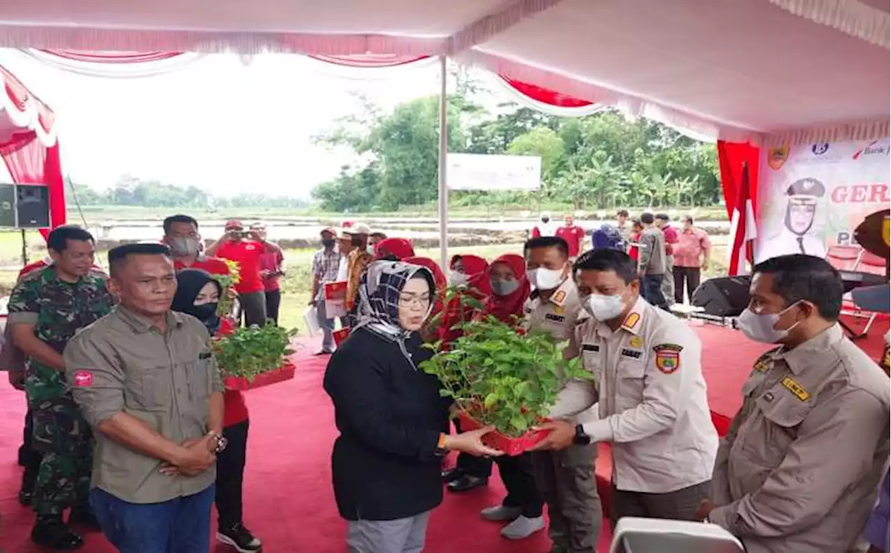 Cegah Inflasi Melonjak Tinggi, Sukoharjo Gerakkan Tanam Cabai Massal