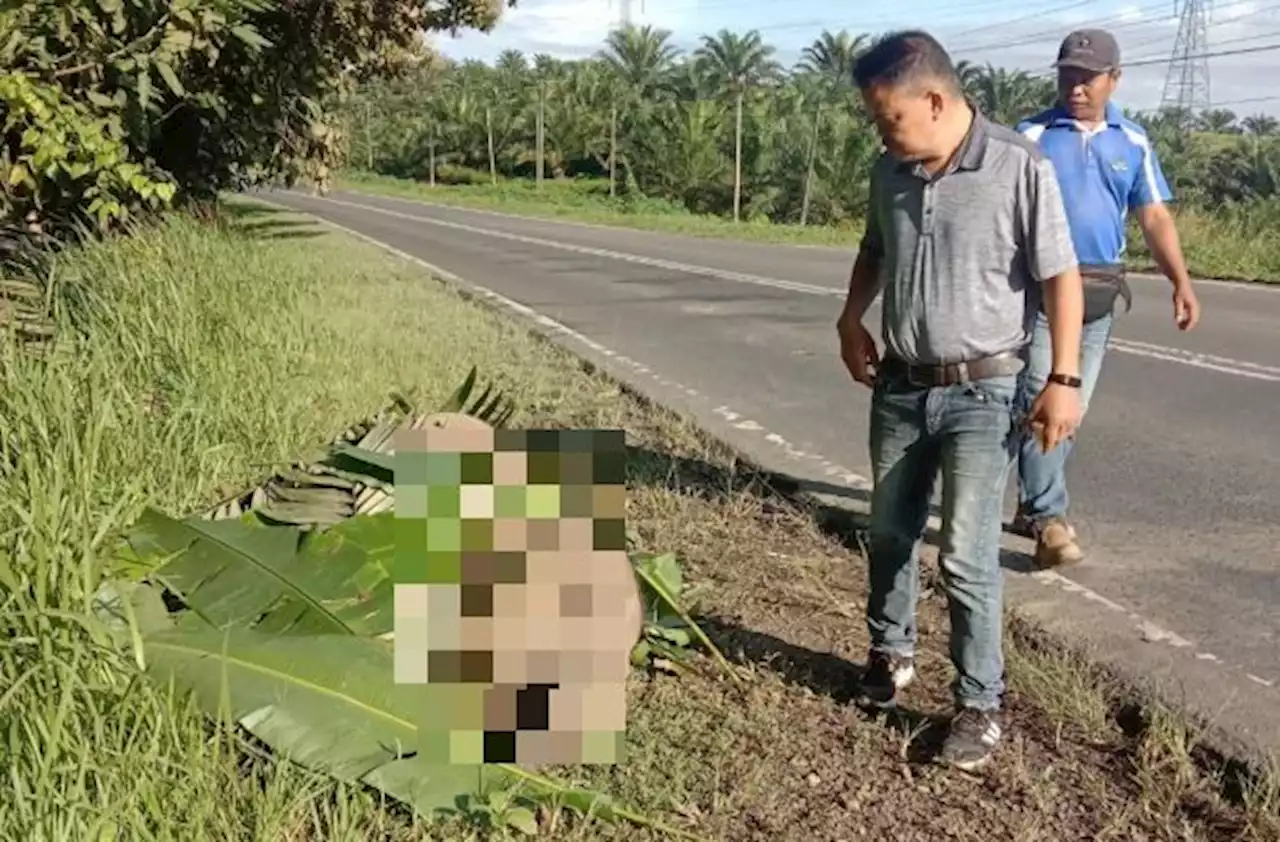 Juvenile elephant killed in Lahad Datu accident