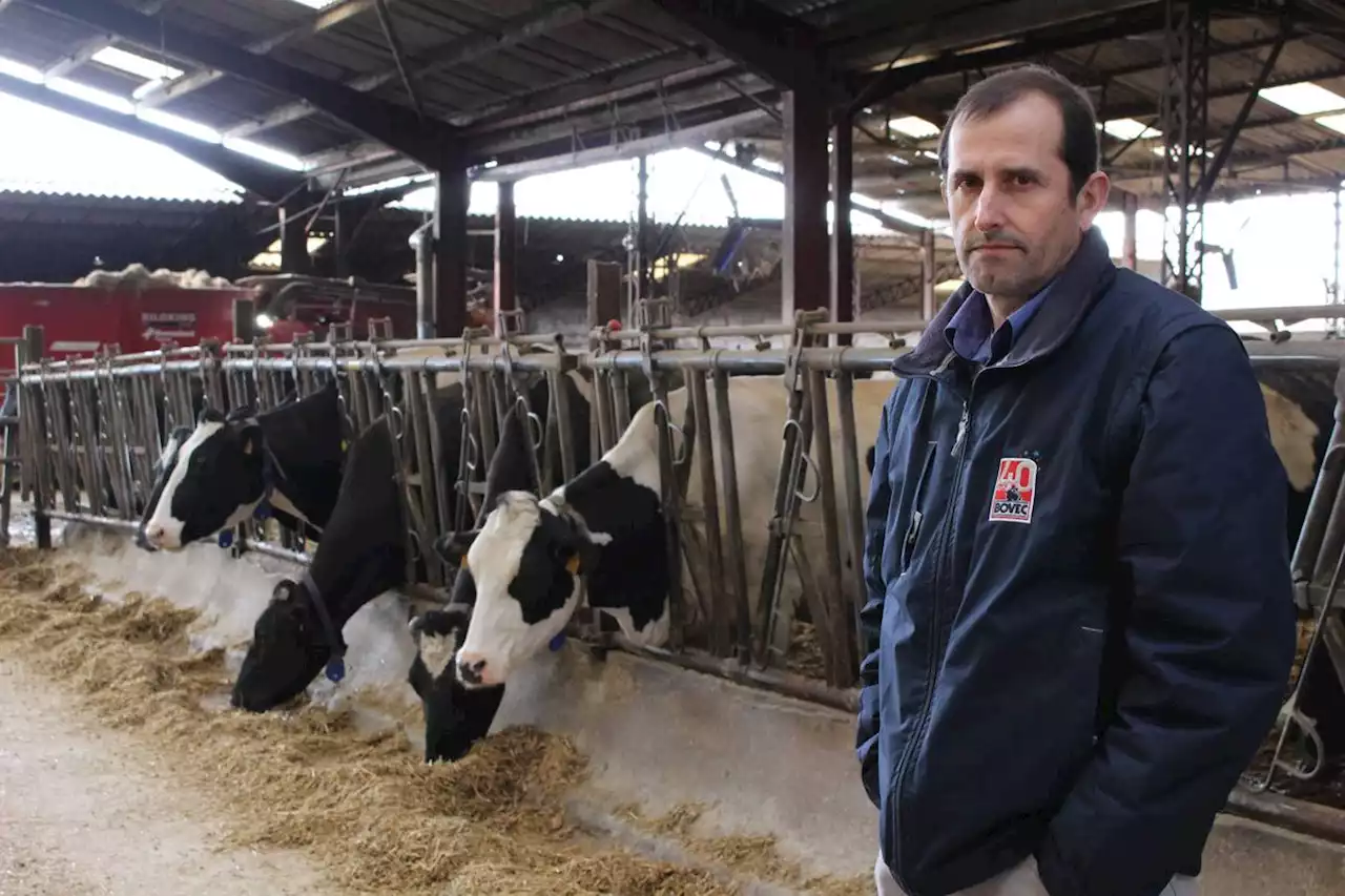 Gironde : pas d’acte de maltraitance dans l’élevage signalé par L214, selon une expertise vétérinaire