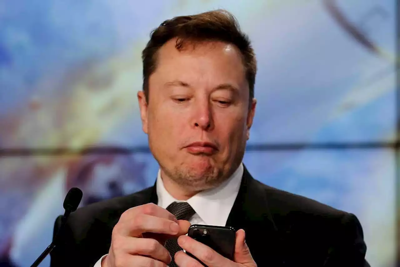 Elon Musk pode lançar celular para brigar com iPhones e Android