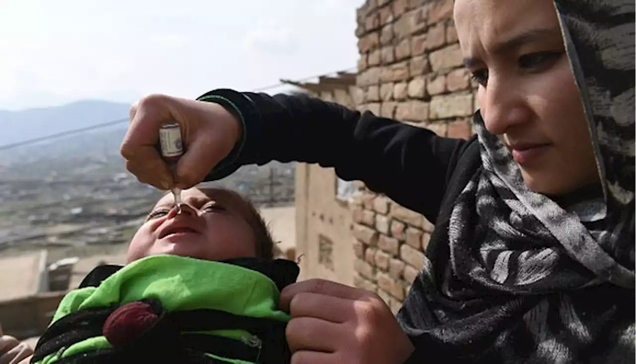 Kemenkes Umumkan Tiga Anak Positif Virus Polio di Kabupaten Pidie Aceh